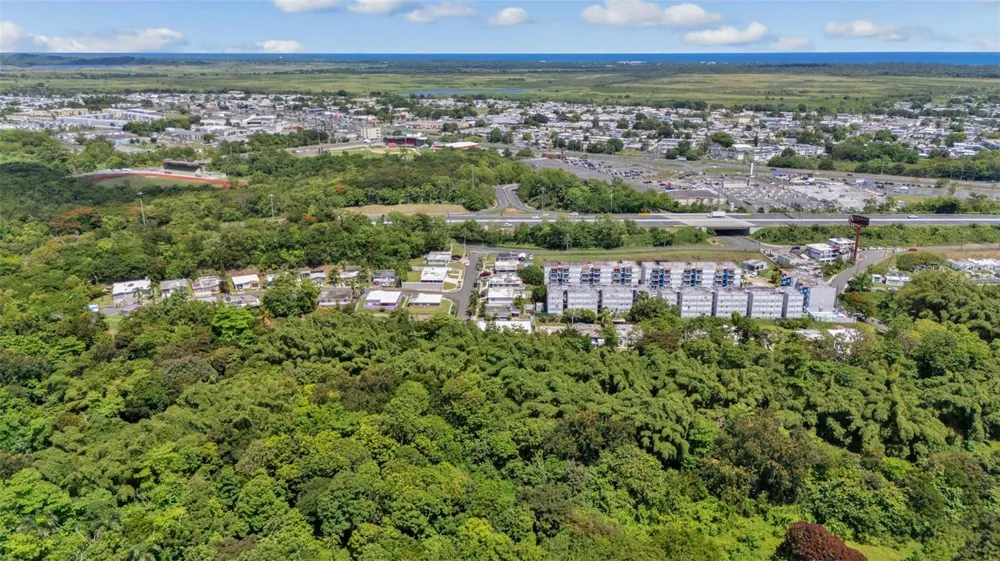 956 BO GUZMAN ABAJO - SECTOR GALATEO Rio Grande, PR 00745