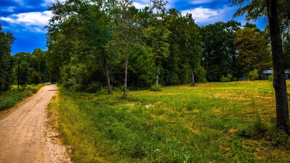 Forest Drive Livingston, TX 77351