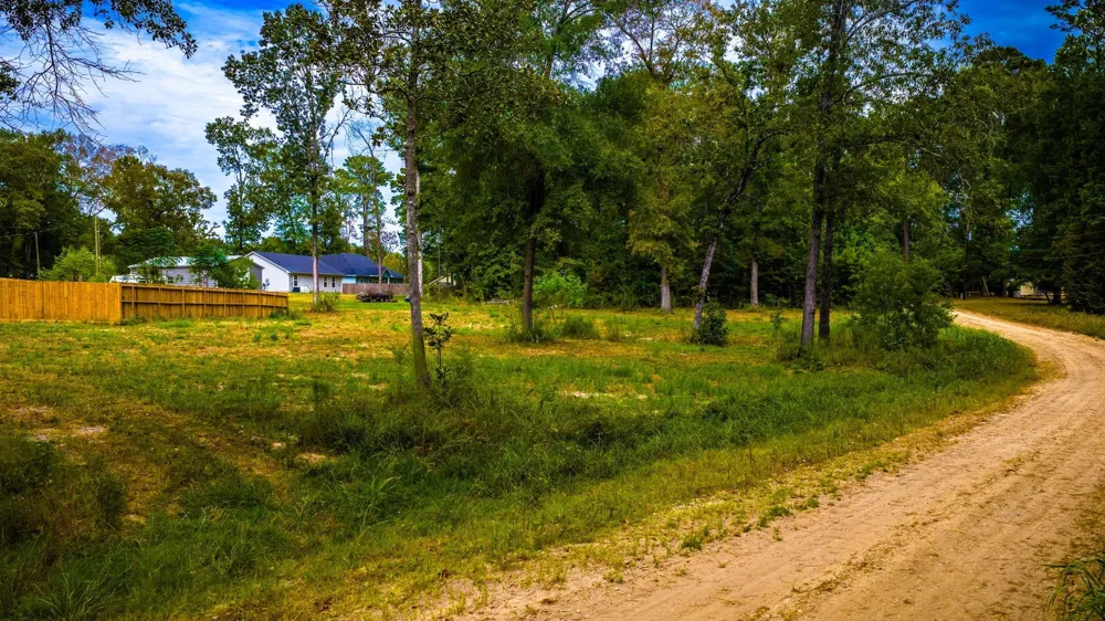Forest Drive Livingston, TX 77351
