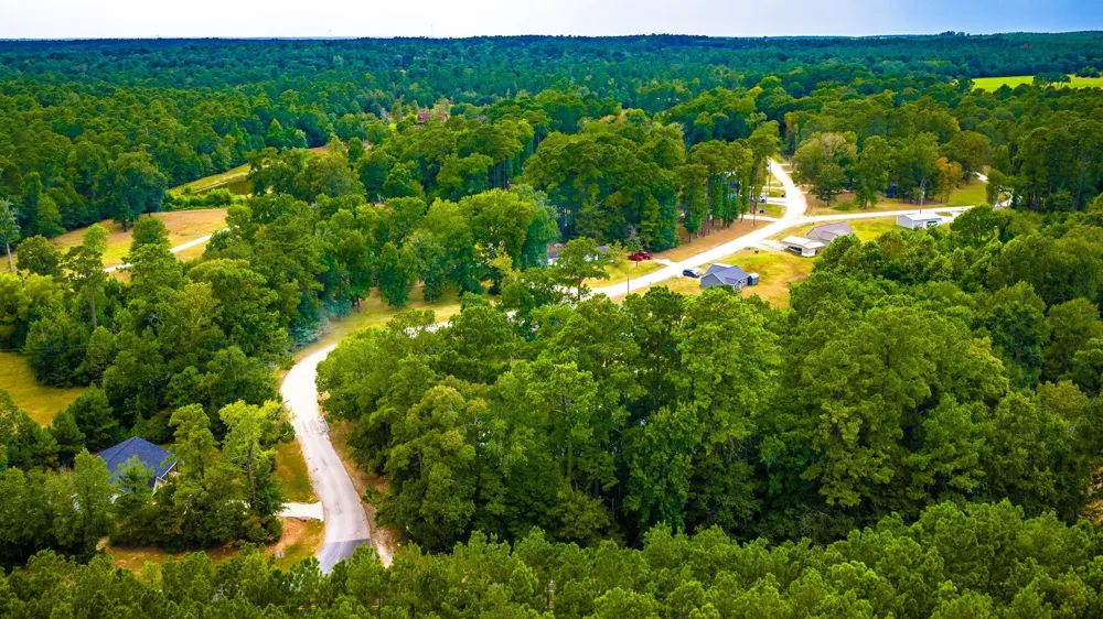 Forest Drive Livingston, TX 77351