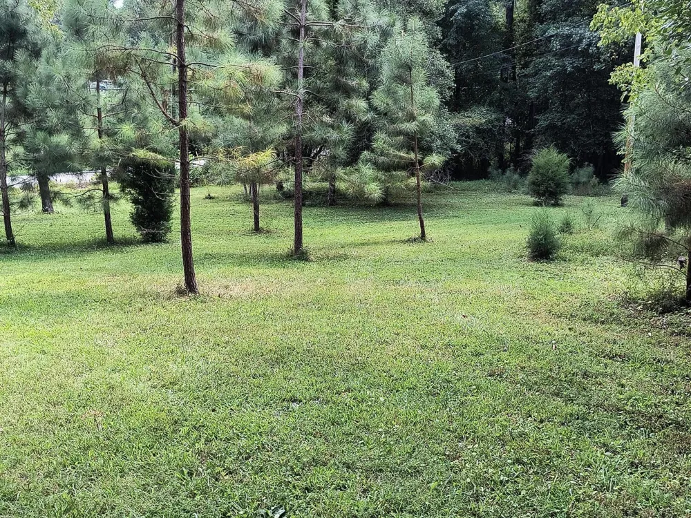 1013 Hotwater Road Soddy Daisy, TN 37379