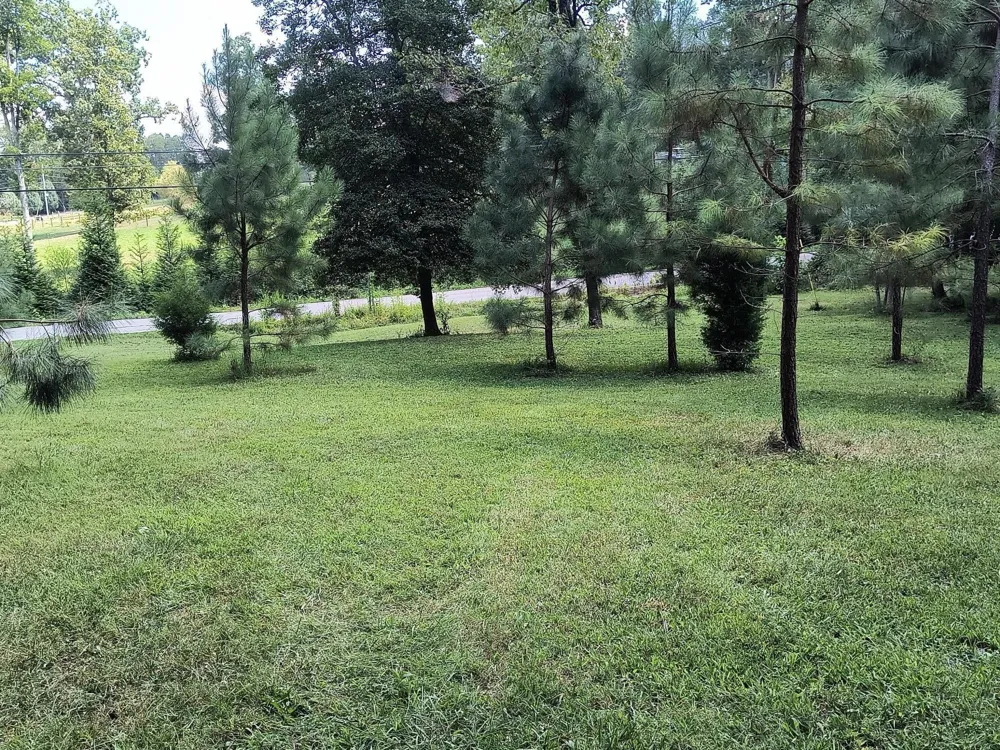 1013 Hotwater Road Soddy Daisy, TN 37379