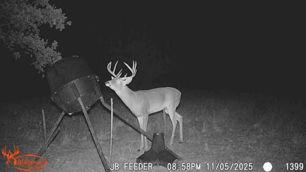 County Road 1130 Cumby, TX 75453