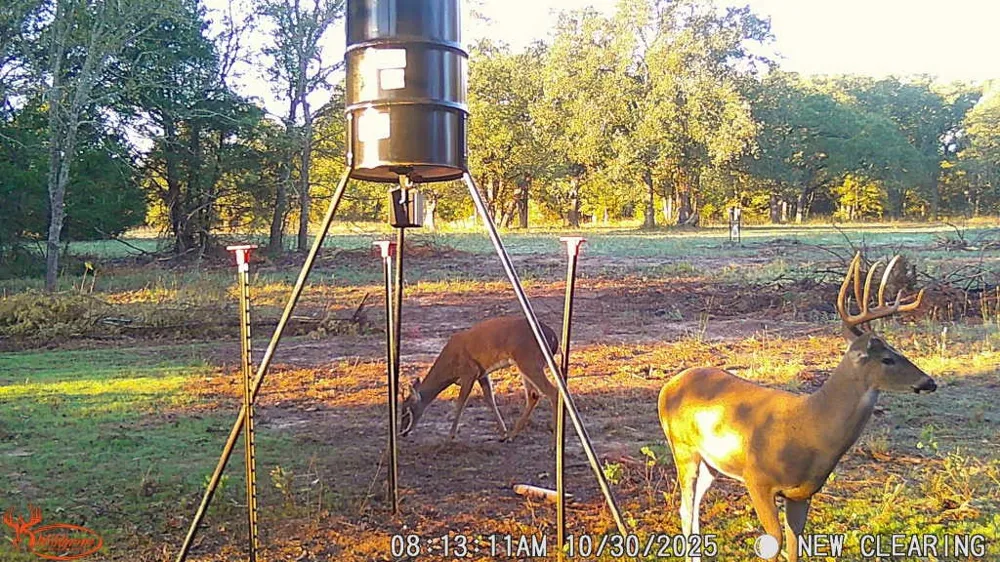 County Road 1130 Cumby, TX 75453