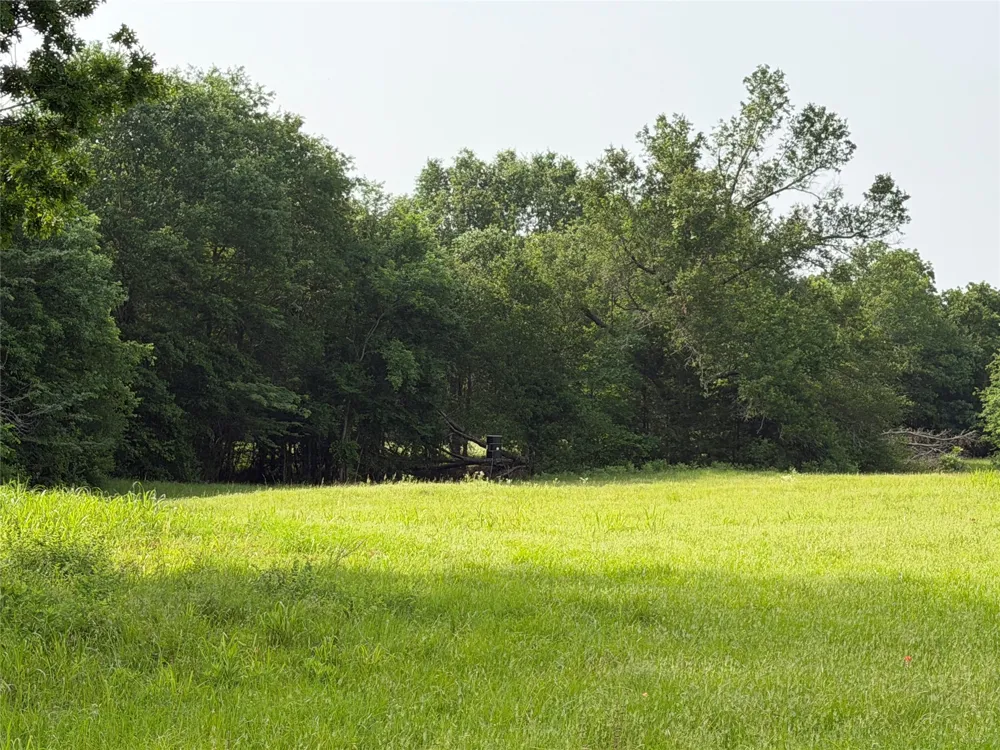 County Road 1130 Cumby, TX 75453