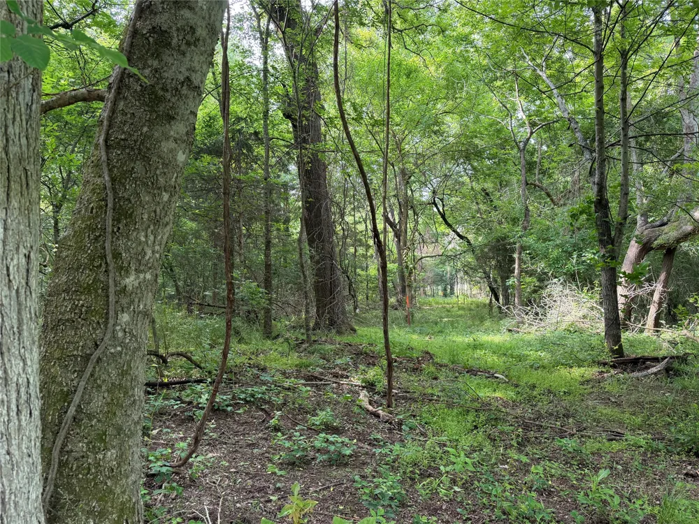 County Road 1130 Cumby, TX 75453