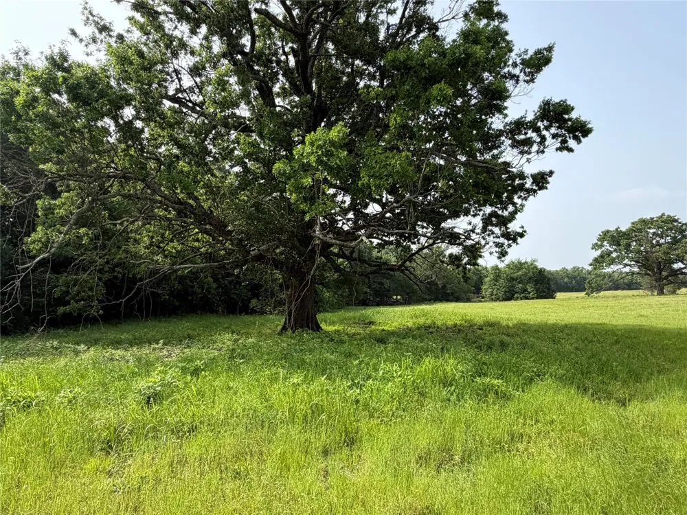 County Road 1130 Cumby, TX 75453