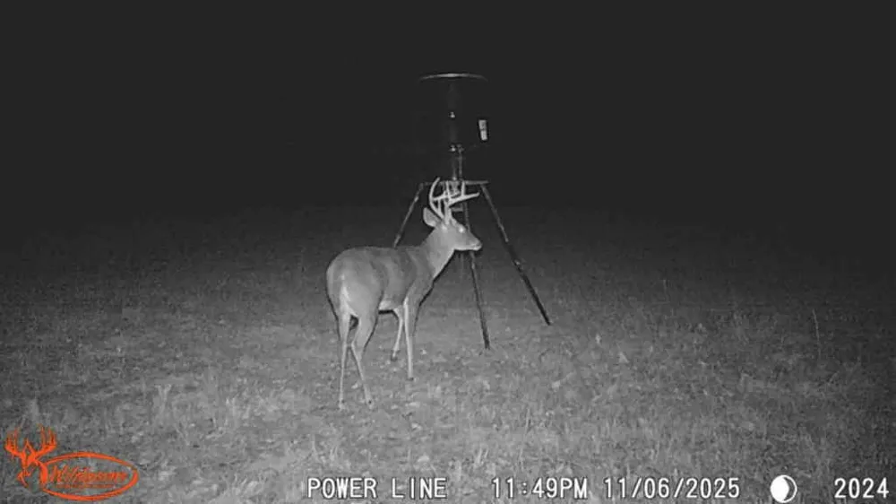 County Road 1130 Cumby, TX 75453