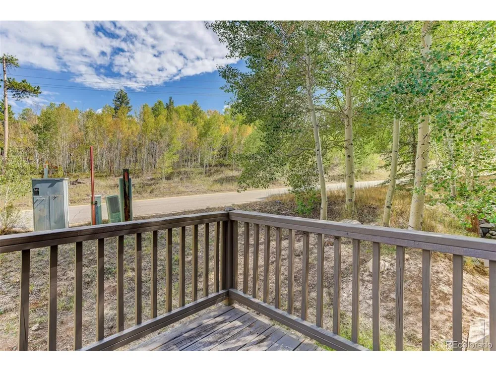 716 E Anemone Trail #K Dillon, CO 80435