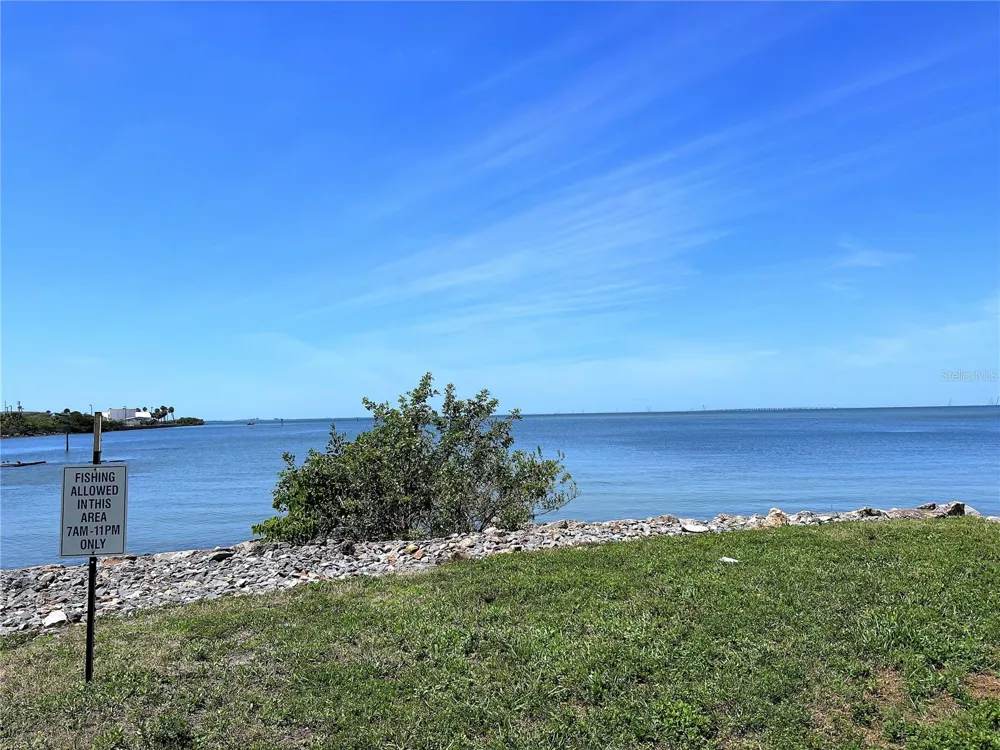 5000 CULBREATH KEY WAY #1-318 Tampa, FL 33611
