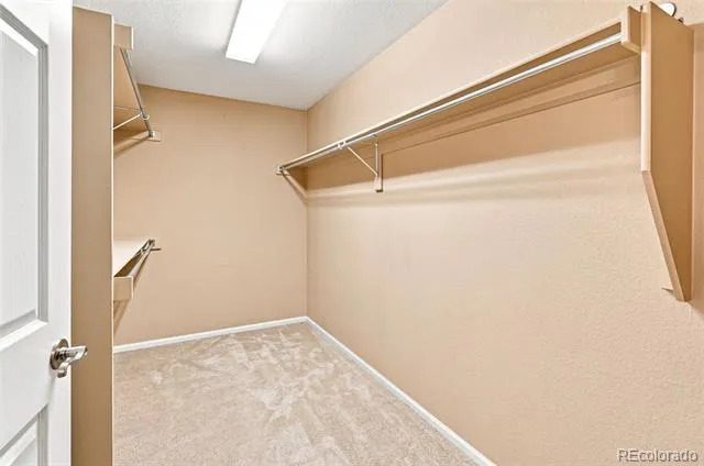 3433 Brushwood Drive Castle Rock, CO 80109