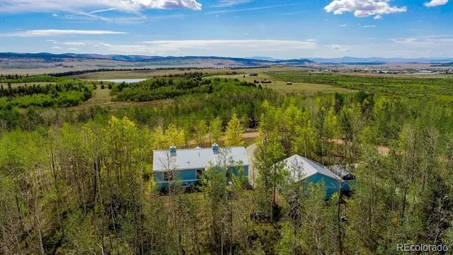 331 Canthook Lane Fairplay, CO 80440