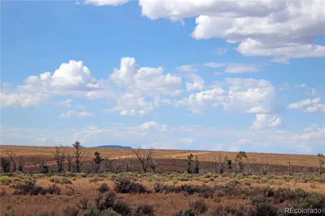 47 acres Costilla Creek Ranches Jaroso, CO 81138