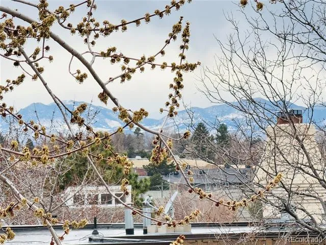 7255 E Quincy Avenue #309 Denver, CO 80237