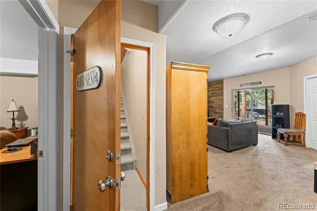 1308 Spruce Ridge Lane Woodland Park, CO 80863