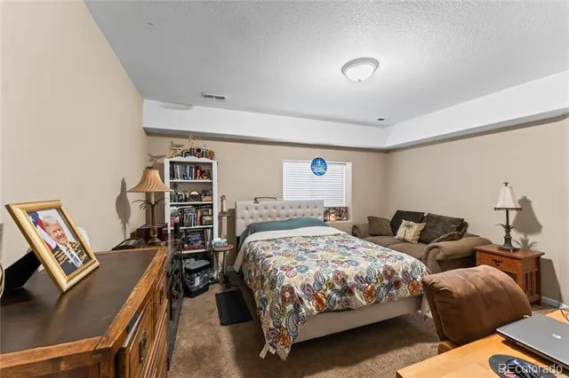 1308 Spruce Ridge Lane Woodland Park, CO 80863