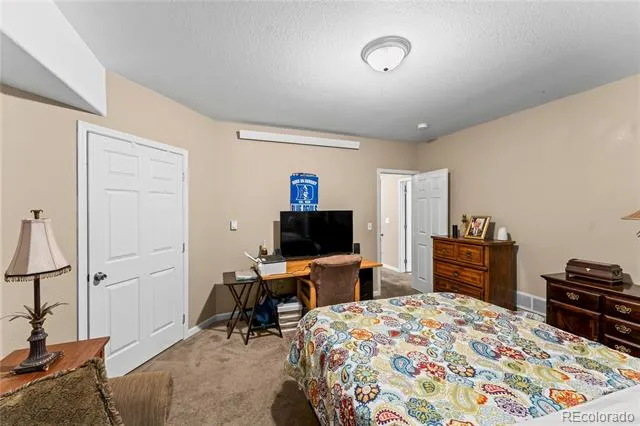 1308 Spruce Ridge Lane Woodland Park, CO 80863