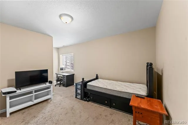 1308 Spruce Ridge Lane Woodland Park, CO 80863