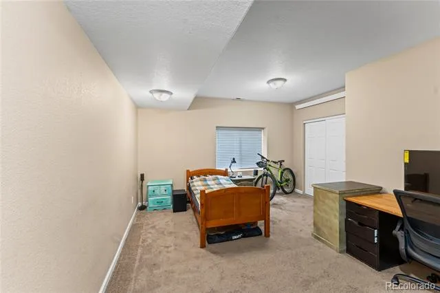 1308 Spruce Ridge Lane Woodland Park, CO 80863