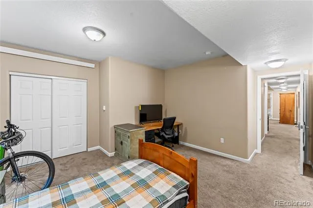 1308 Spruce Ridge Lane Woodland Park, CO 80863