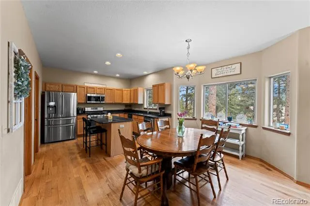 1308 Spruce Ridge Lane Woodland Park, CO 80863
