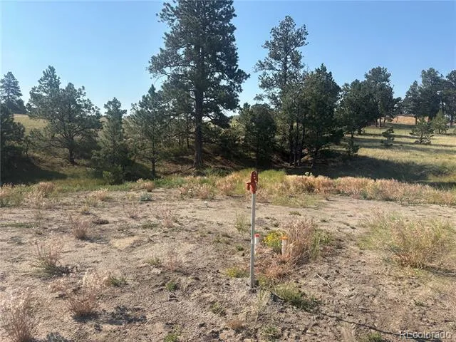 32147 Waylongood Point Kiowa, CO 80117