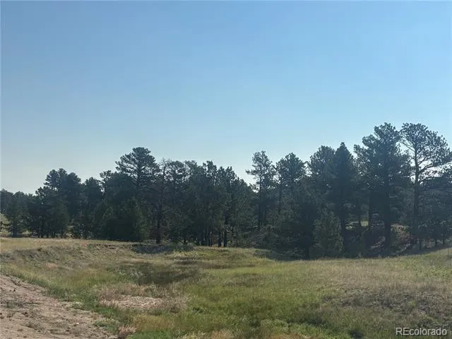 32147 Waylongood Point Kiowa, CO 80117
