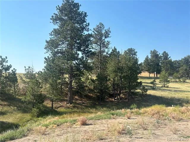 32147 Waylongood Point Kiowa, CO 80117
