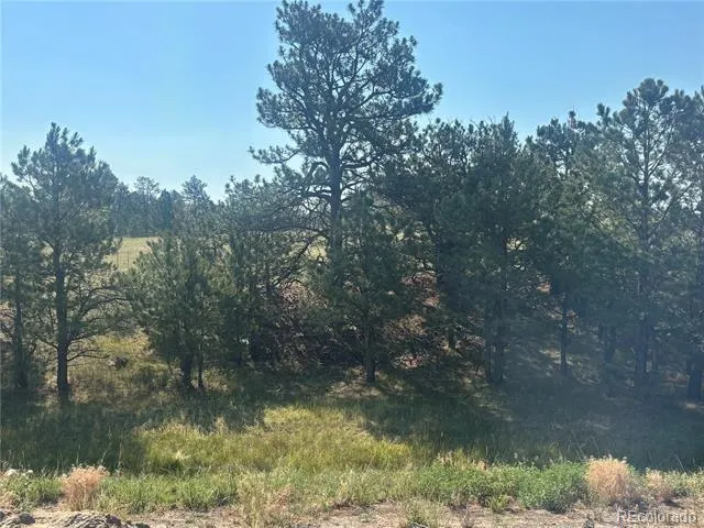 32147 Waylongood Point Kiowa, CO 80117