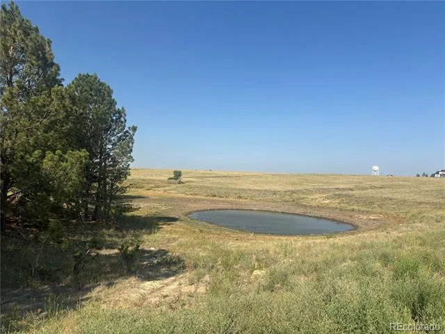 32147 Waylongood Point Kiowa, CO 80117