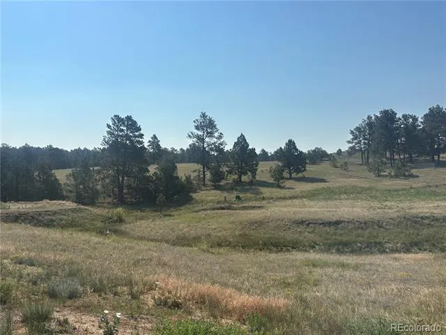 32147 Waylongood Point Kiowa, CO 80117
