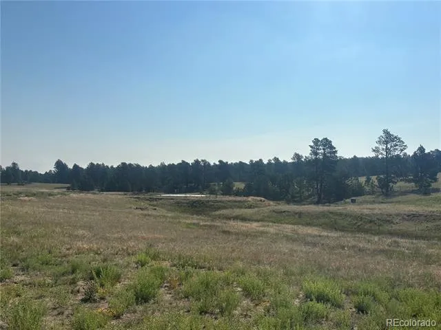 32147 Waylongood Point Kiowa, CO 80117