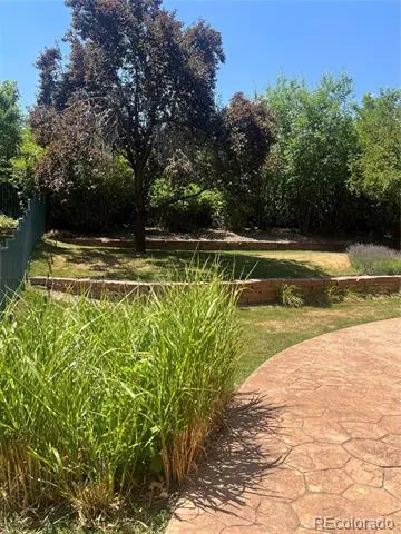 17002 W 66th Lane Arvada, CO 80007