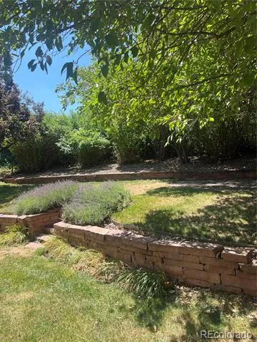 17002 W 66th Lane Arvada, CO 80007