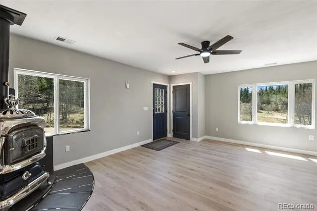 61 Garnet Lane Lake George, CO 80827