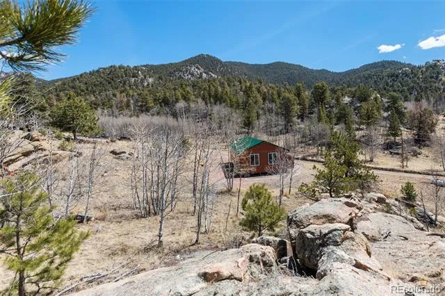 61 Garnet Lane Lake George, CO 80827