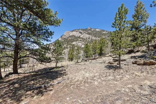 61 Garnet Lane Lake George, CO 80827