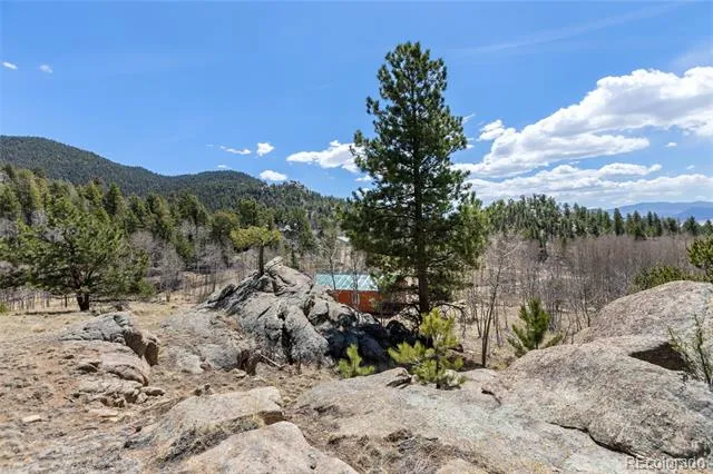 61 Garnet Lane Lake George, CO 80827