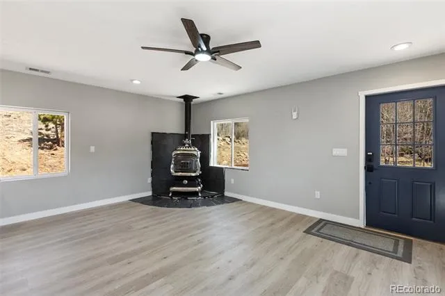 61 Garnet Lane Lake George, CO 80827