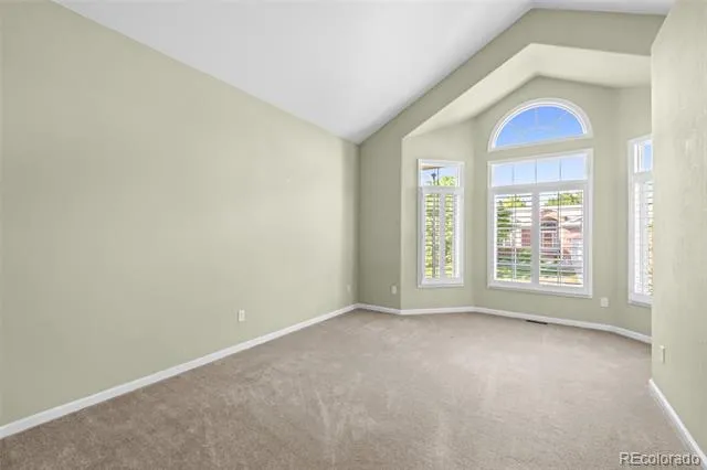 15 Tamerlain Court Littleton, CO 80130