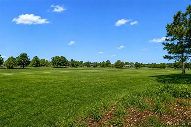 15 Tamerlain Court Littleton, CO 80130