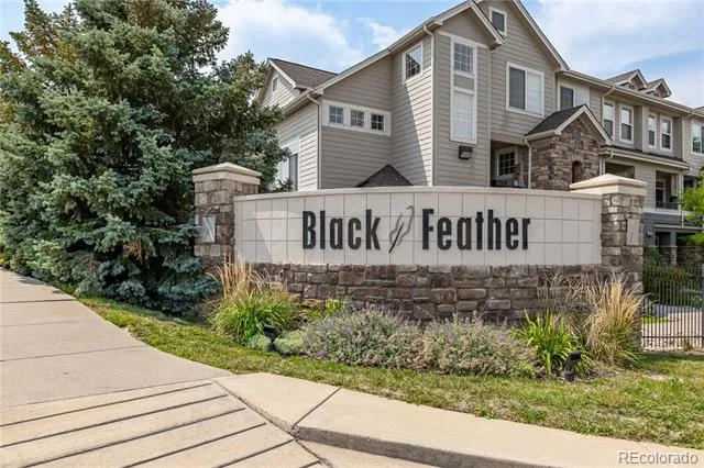 431 Black Feather Loop #811 Castle Rock, CO 80104