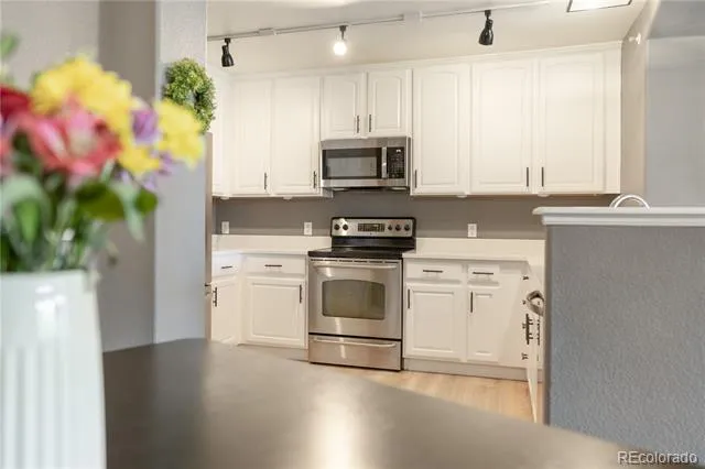 431 Black Feather Loop #811 Castle Rock, CO 80104