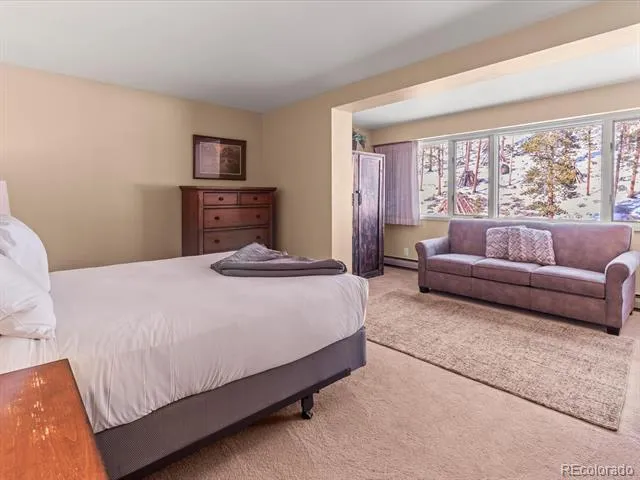 22097 Saints John Road #2540 Dillon, CO 80435