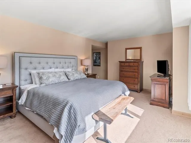 22097 Saints John Road #2540 Dillon, CO 80435