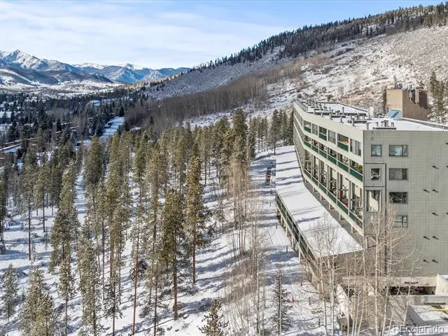 22097 Saints John Road #2540 Dillon, CO 80435