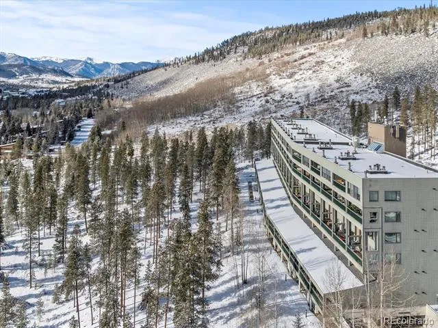 22097 Saints John Road #2540 Dillon, CO 80435