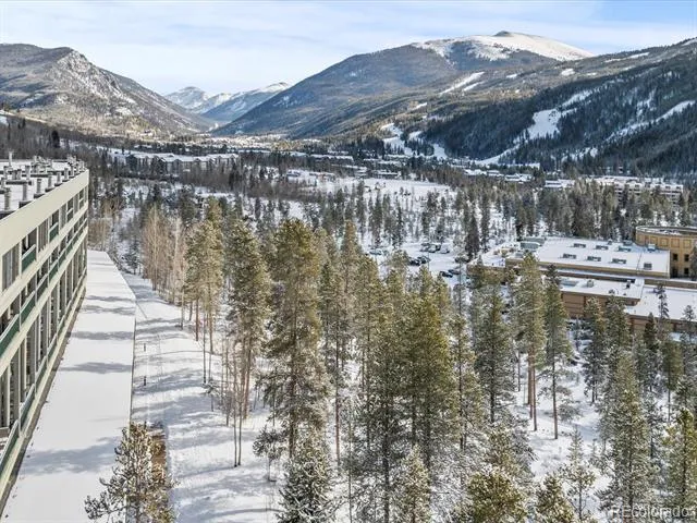 22097 Saints John Road #2540 Dillon, CO 80435