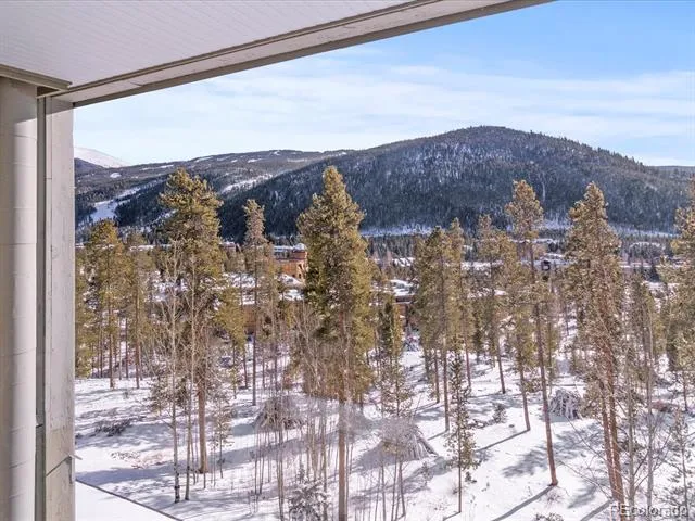 22097 Saints John Road #2540 Dillon, CO 80435