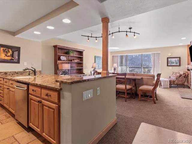 22097 Saints John Road #2540 Dillon, CO 80435